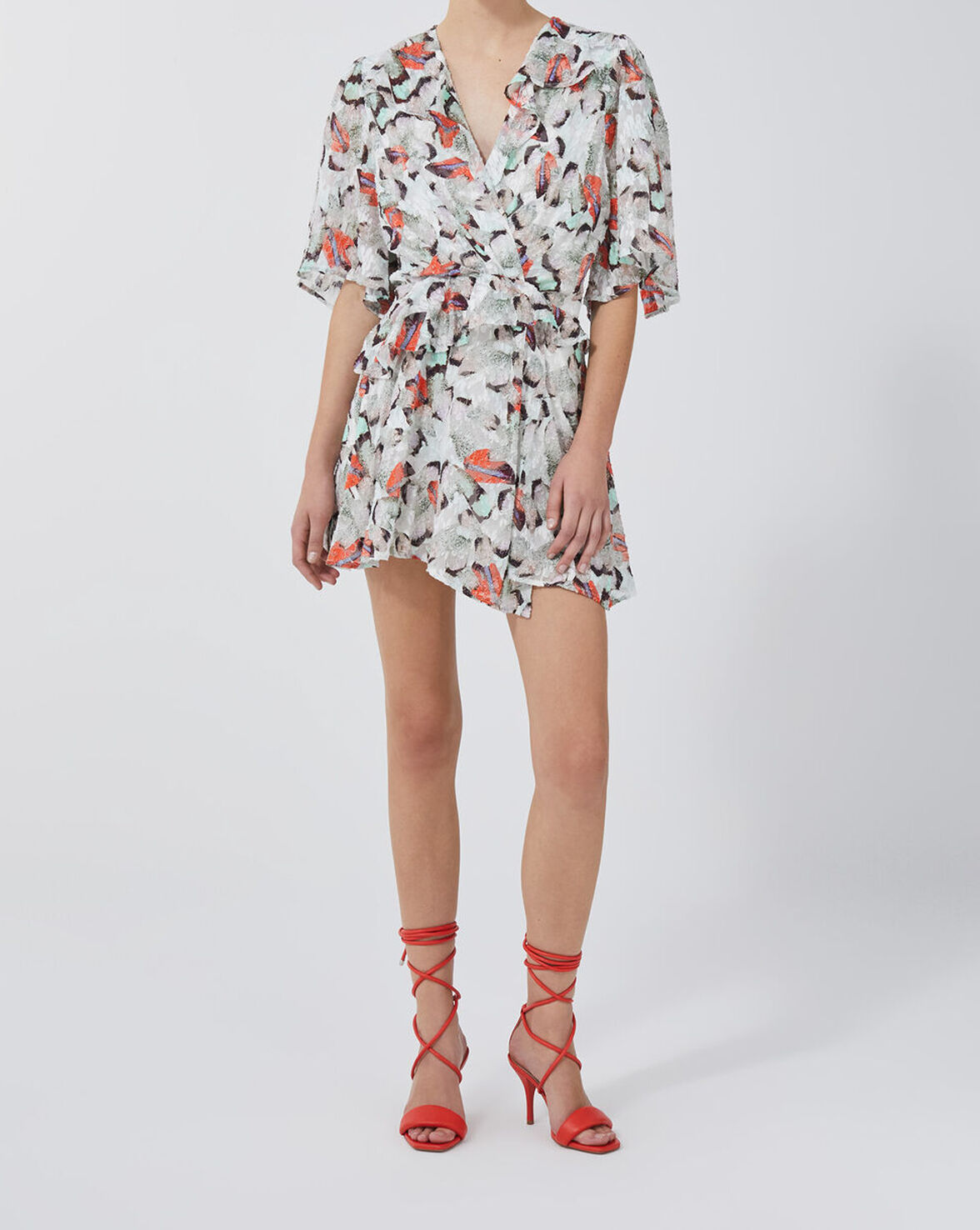 CARLINA image number null